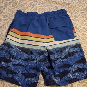 Wonder Nation Blue and Orange Shark Print Shorts